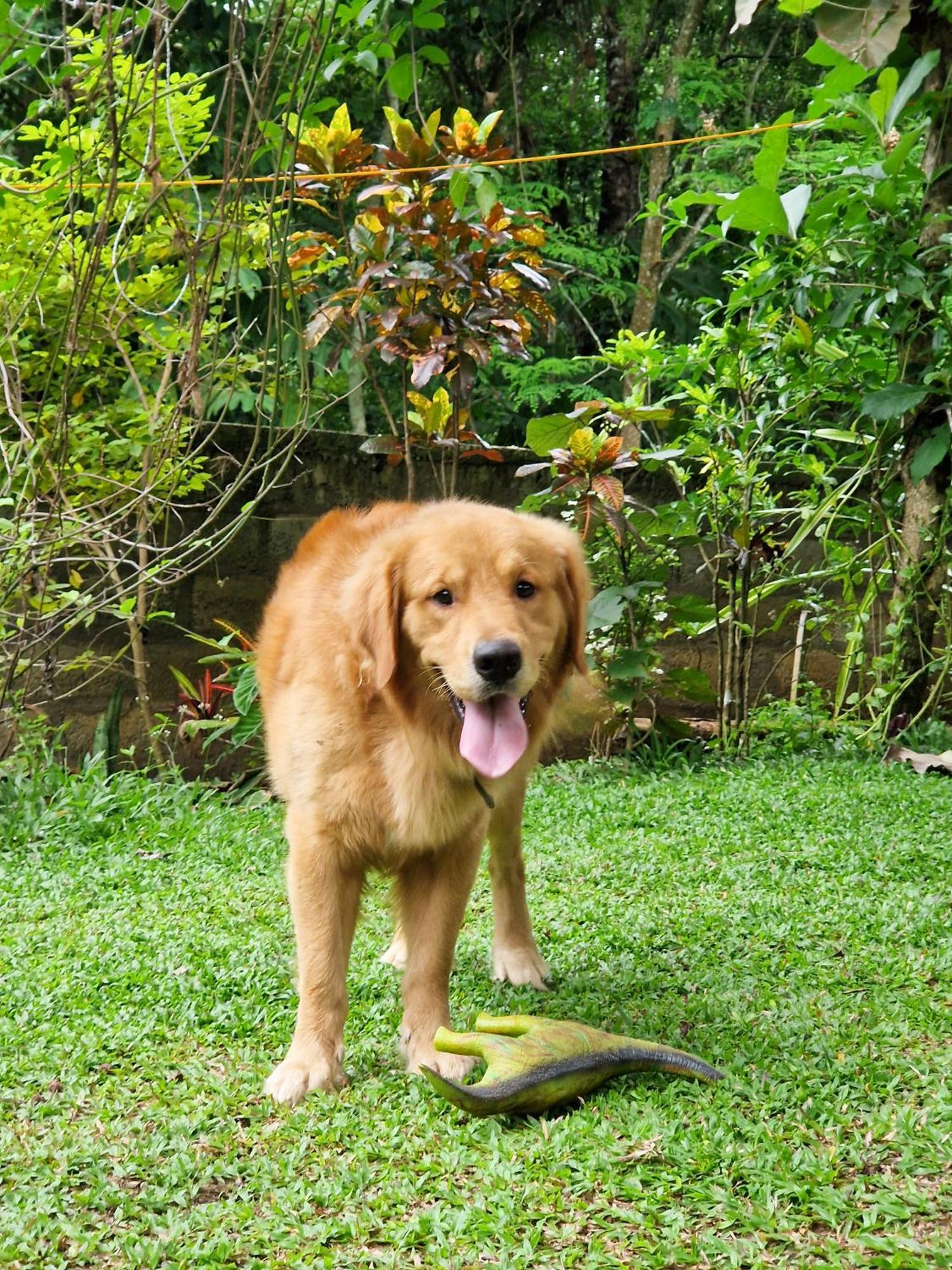 Villa Sole Kandy Esterno foto