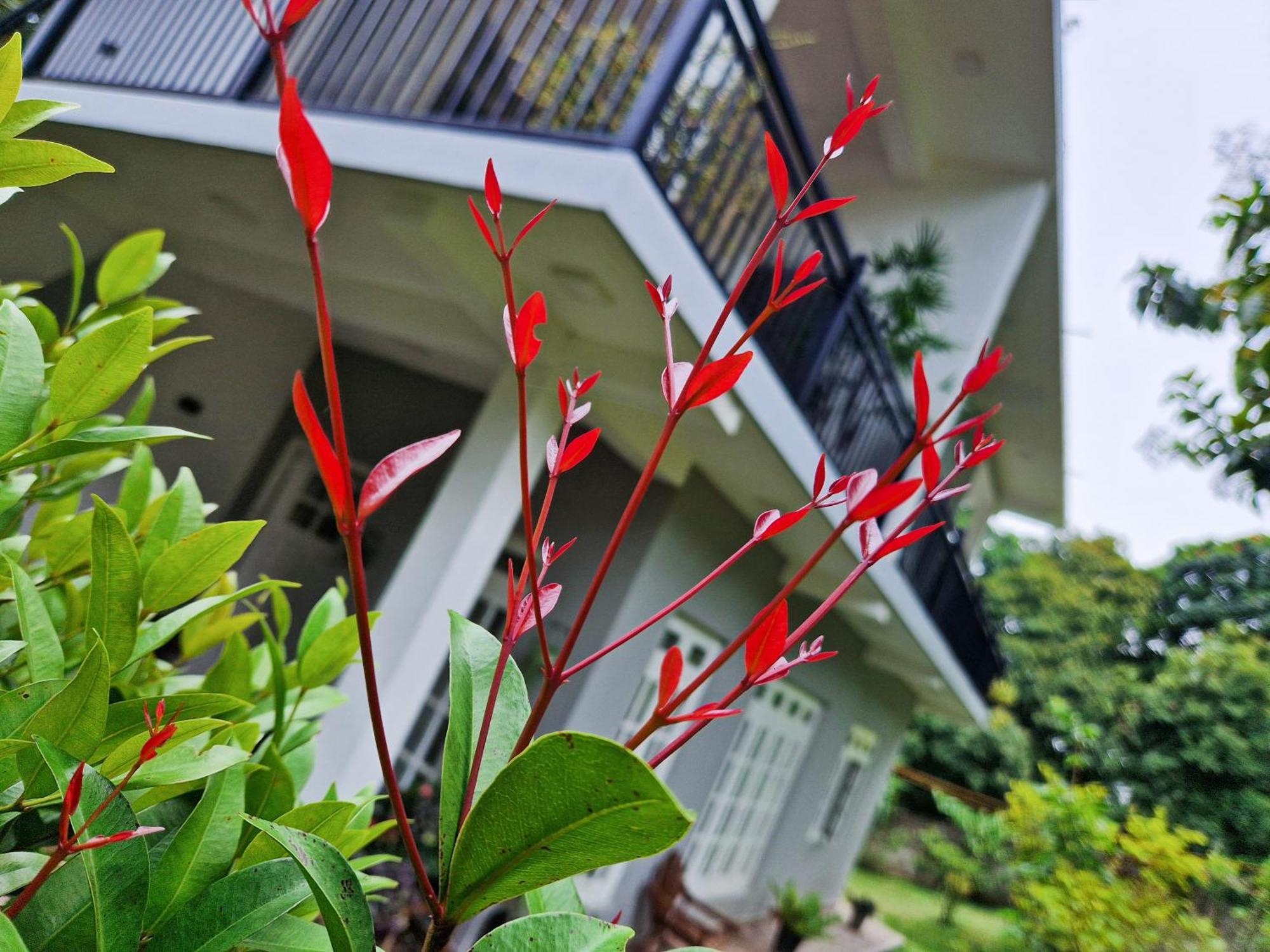 Villa Sole Kandy Esterno foto