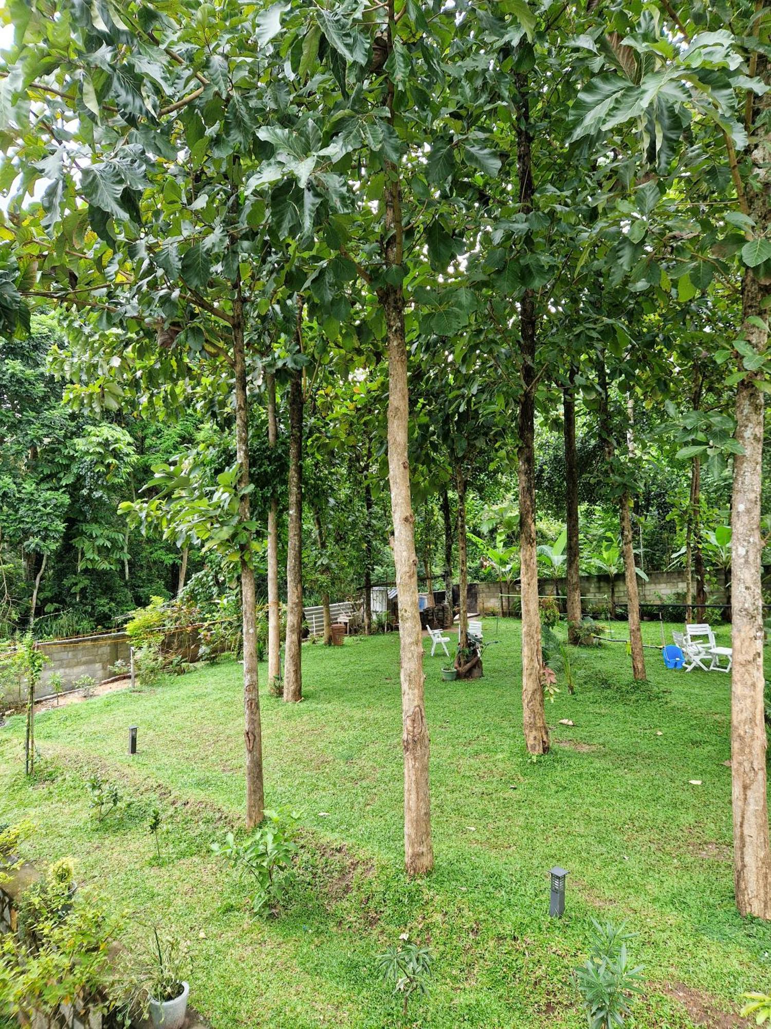 Villa Sole Kandy Esterno foto