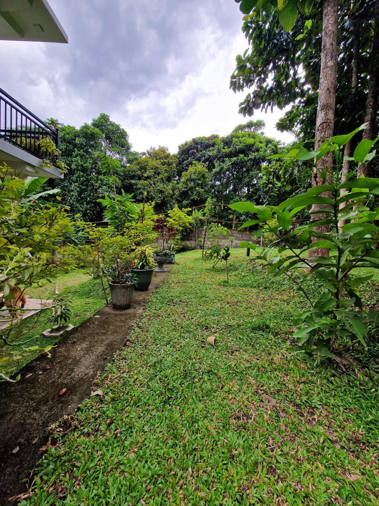Villa Sole Kandy Esterno foto