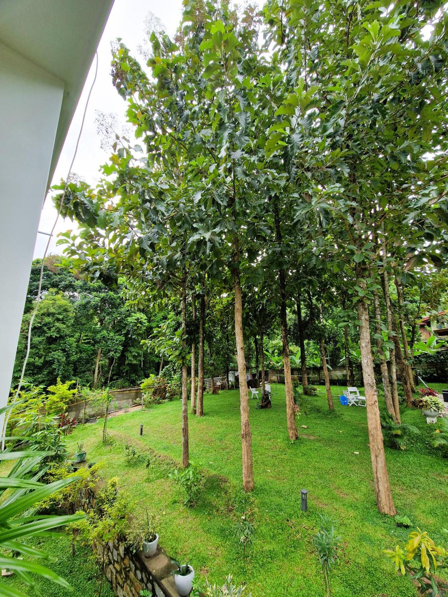 Villa Sole Kandy Esterno foto